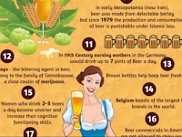 Interesting Beer Facts