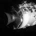 11 aprilie: Evenimentul zilei - Apollo 13