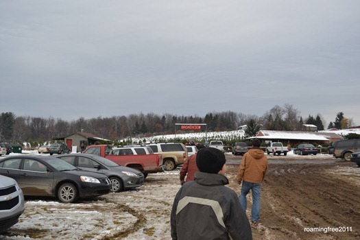 DSC_0003 DSC_0003