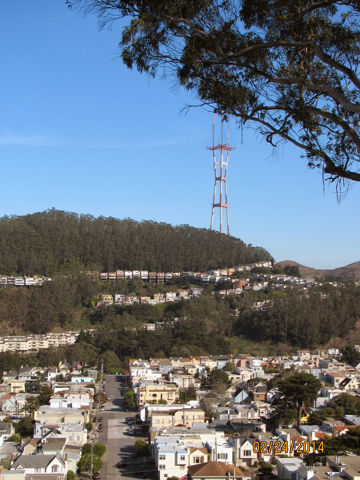 Grand View Park- Sutro Tower to the Right