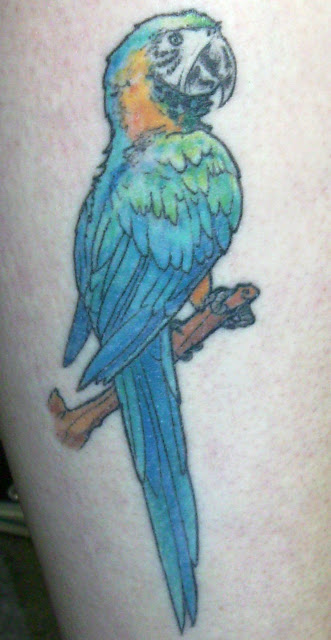 I spotted this avian tattoo on the right calf of Hannah one afternoon in a 