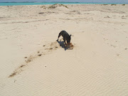 Norman's Cay is Ok with Me (normans cay )