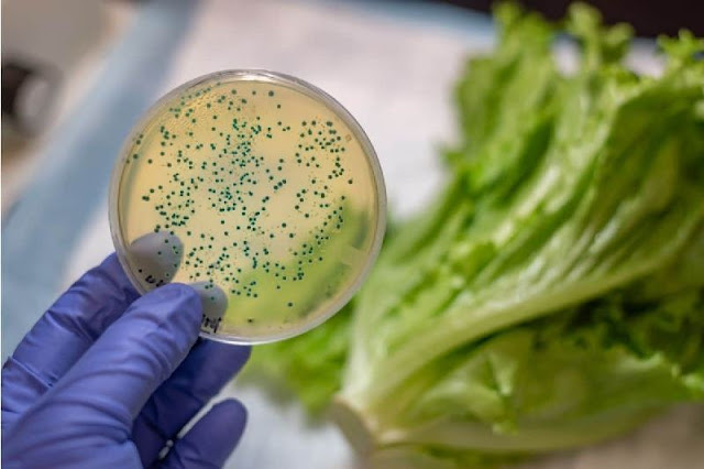 Nuevo spray con bacteriófagos podría ayudarnos a luchar contra las bacterias peligrosas