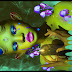 Toxic Melt 
