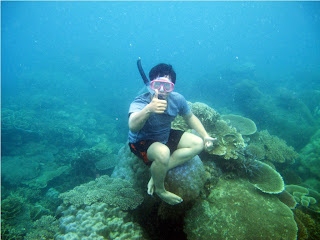 pulau gosong cemara karimunjawa