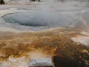 Yellowstone Park (dsc )