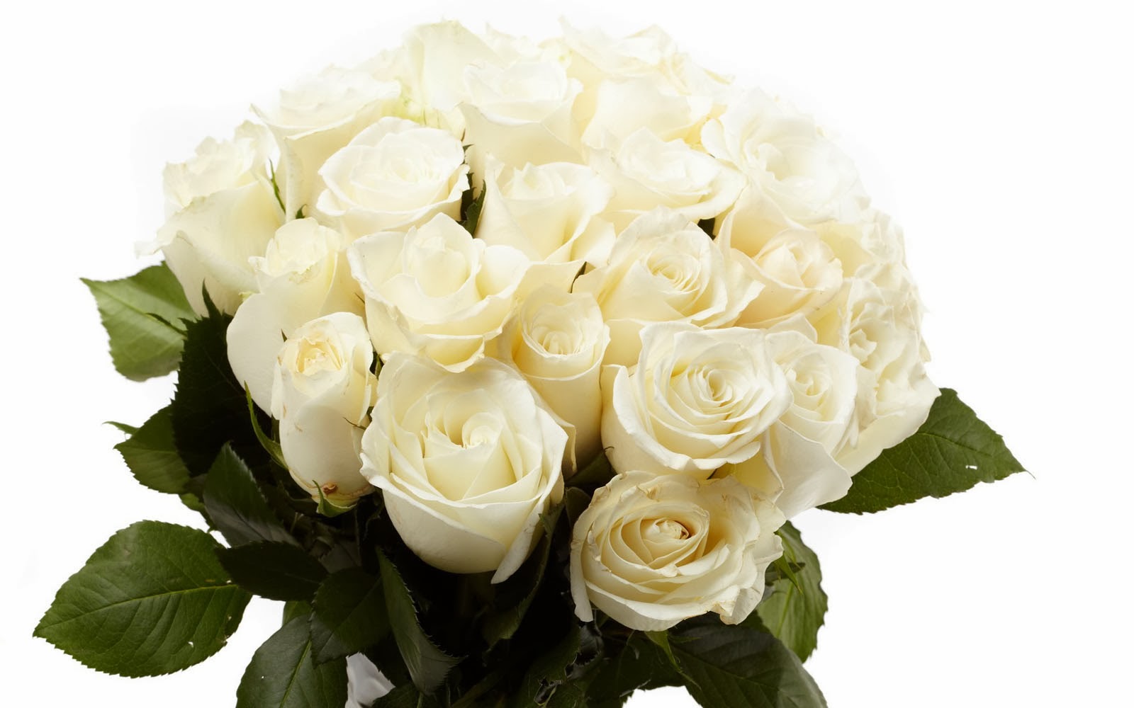 White+Rose+Bouquet+Wallpapers