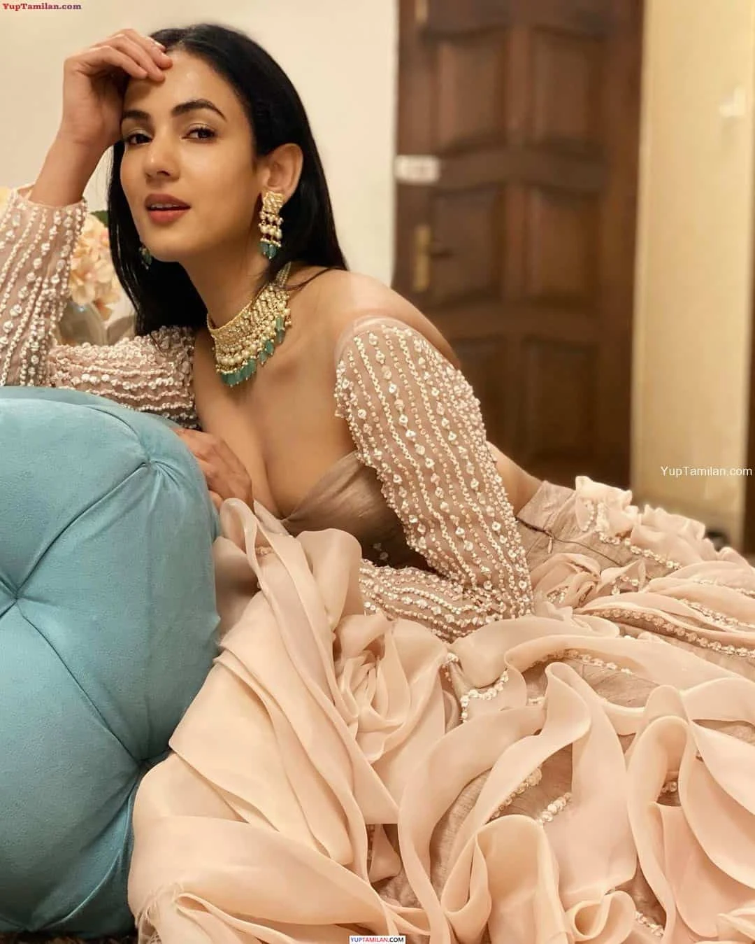 Sonal Chauhan Sexy Bikini Photos & Navel Pics