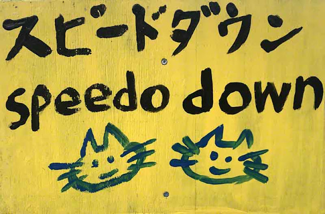 art, Japan, Okinawa, silly, sign, Wordless Wednesday