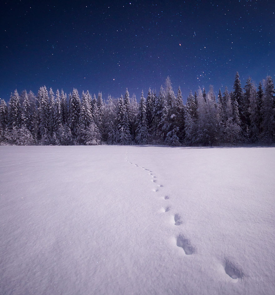 I Captured The Finnish Night Sky