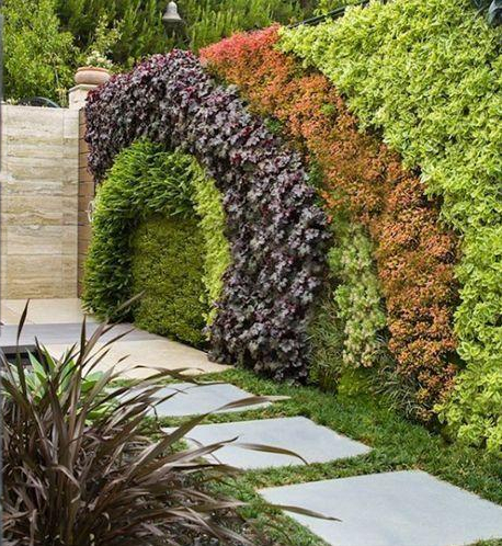 Muro cubierto de plantas en un jardín