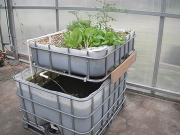 Aquaponics Systems Aquaponics Made Easy With This Aquaponics