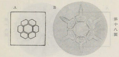 『雪華図説』の研究 模写図と顕微鏡写真と比較 第十八図