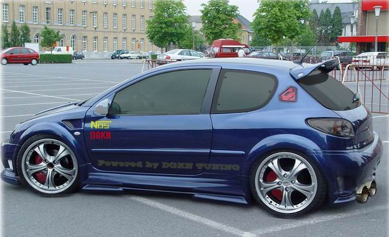 Imagenes de Peugeot 206 tuning