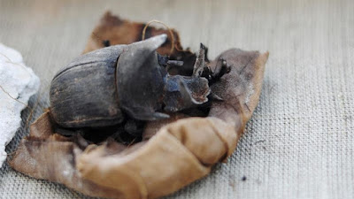 Resultado de imagem para encontrado escaravelho no egito
