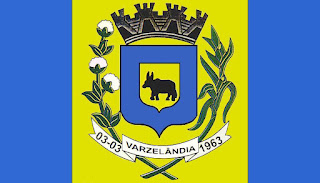Bandeira de Varzelândia MG