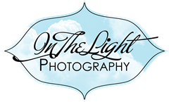 in the light photography logo