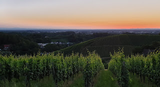 Schwarwald im Sonnenuntergang, Blick über die Rheinebene nach Strasbourg