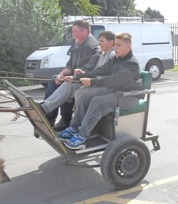 Brigg Horse Fair 2016 - picture 13 on Nigel Fisher's Brigg Blog