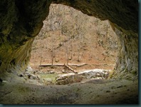 DSCN8427