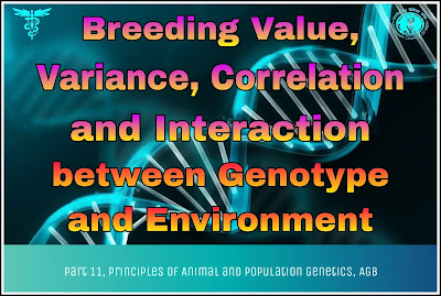 Genotype-Environment Correlation and Interaction