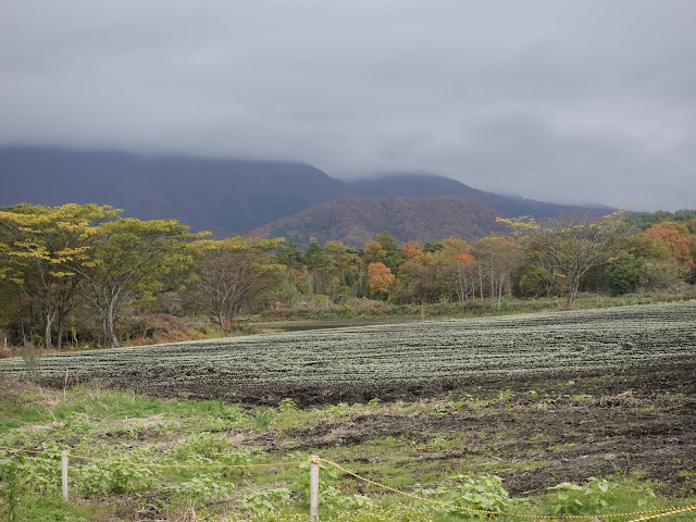 大山の紅葉