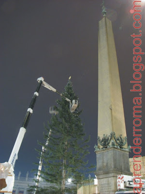 Preparativos_del_arbol_y_pesebre_en_la_Plaza_de_San_Pedro_Dic_2006