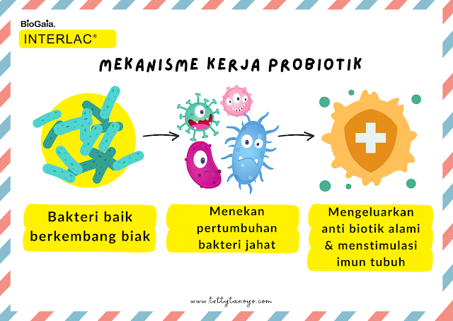 Bagaimana Memilih Suplemen Probiotik yang Tepat untuk Seluruh Keluarga?