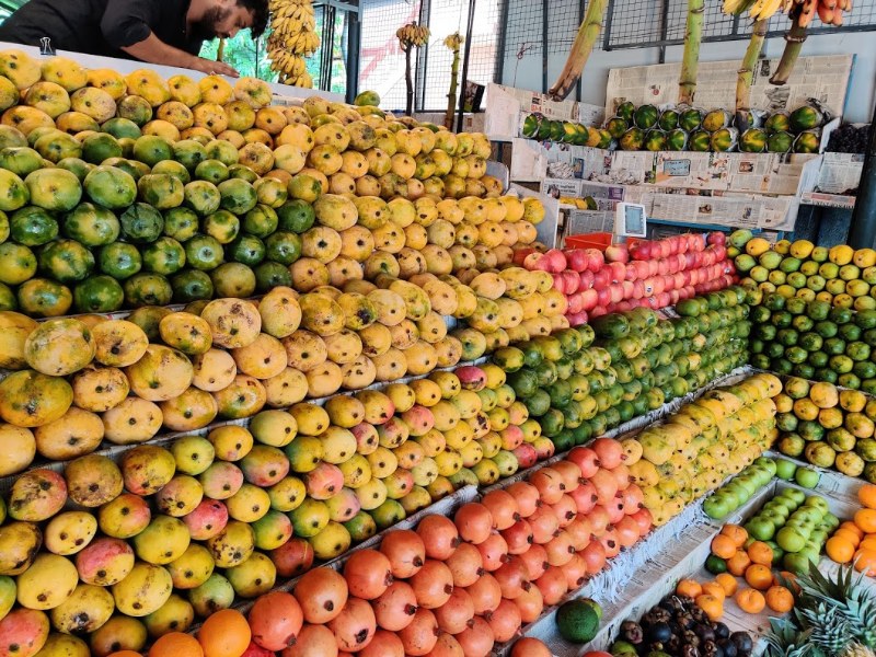 various varieties of Indian mangoes