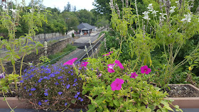 a view of the train station from the railroad bridge through the nice flowers out there by the Franklin Downtown Partnership