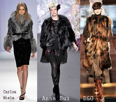 Top Trends Winter 2009-2010