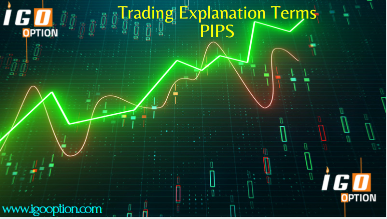 Explanation of  PIPS