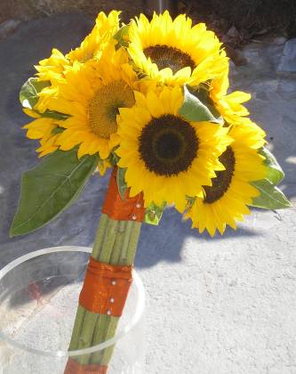A sunflower handtied posy