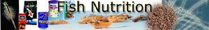 Aquarium Fish Nutrition, Important Ingredients in Fish Feeding