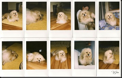 scan0001