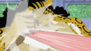 ワンピース アニメ エニエスロビー編 308話 ルフィ ルッチ Luffy vs. Lucci | ONE PIECE Episode 308 Enies Lobby