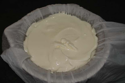 Yoghurt and quark