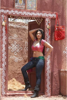 Hot Bollywood Actress Nikesha Patel Images