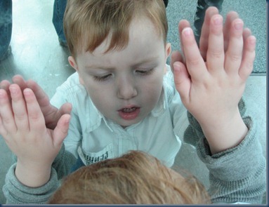 IMG_4958 IMG_4958