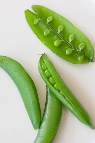 Snap peas - Pisum sativum var. macrocarpon | Sugarsnap Peas