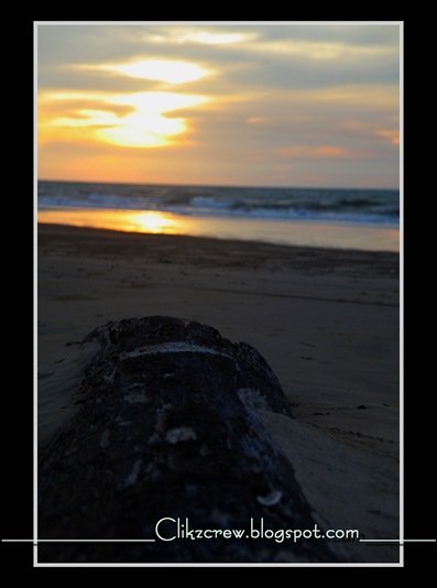 woodsunset