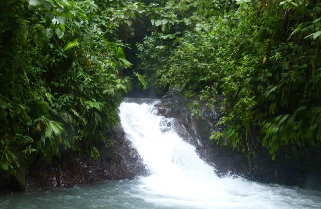 Cascade et baignade au Rainmaker - Costa Rica