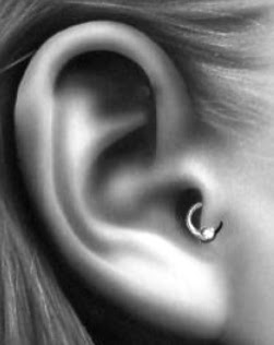 tragus piercing