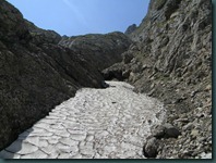 DSCN3331