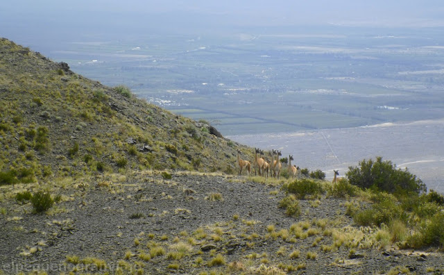 Trekking Sierras Azules 