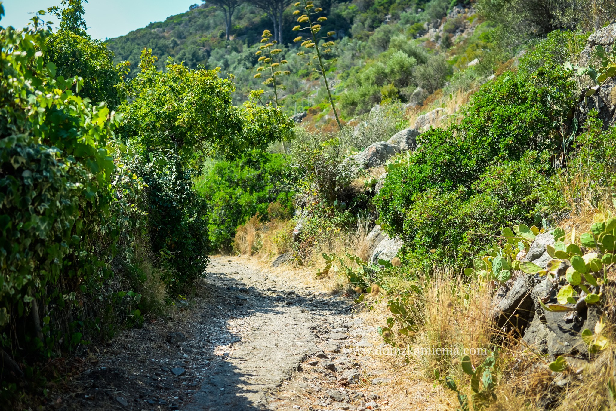 Dom z Kamienia, Capraia Livorno, trekking na jeden dzień.