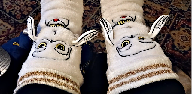 Hedwig socks