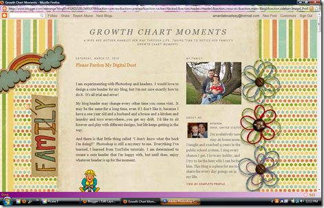Fullscreen capture 3282010 121234 PM