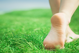 रोज सुबह नंगे पैर घास पर से मिलें फायदे, दूर रहें बीमारियां (Get benefits by walking barefoot on the grass every morning, stay away from diseases)
