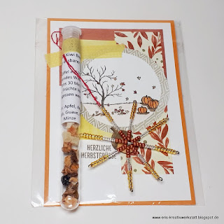 Herbstliche Karte mit Tee im Reagenzglas und Perlen-Schneeflocken als Schenklis Stampin' Up! www.eris-kreativwerkstatt.blogspot.de